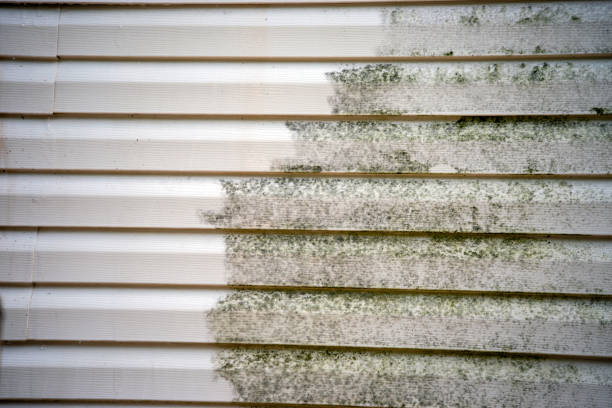 Best Residential Vinyl Siding Installation  in Mount Healthy, OH