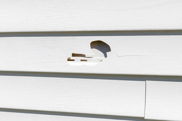 Best Wood Siding Installation  in Mount Healthy, OH