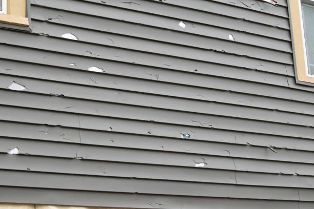 Best Brick Veneer Siding  in Mount Healthy, OH