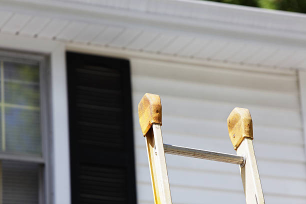 Best Fascia and Soffit Installation  in Mount Healthy, OH